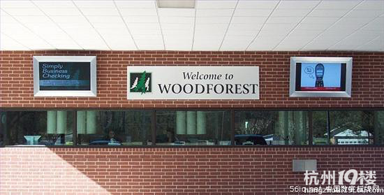 WoodforestyÔ(sh)֘(bio)ƄӘI(y)