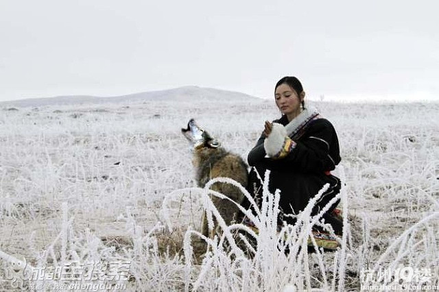 让我<em>流泪</em>的李微漪和她的<em>格林</em>-第2页-爱宠分享