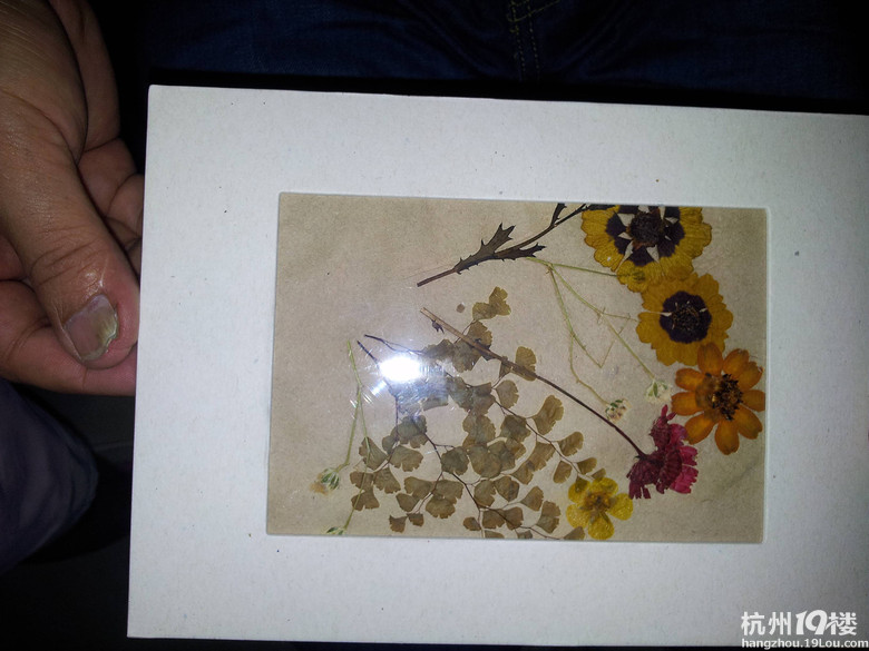 感受环保,感受生活-小学教育论坛-杭州19楼