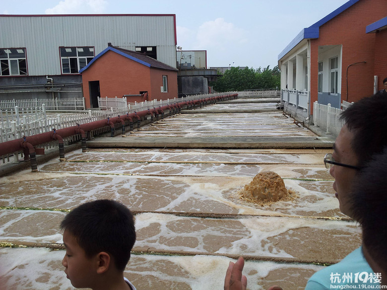 感受环保,感受生活-小学教育论坛-杭州19楼