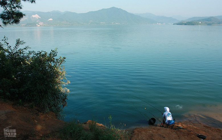 莫干湖畔的甜蜜-静物-19摄区-杭州19楼