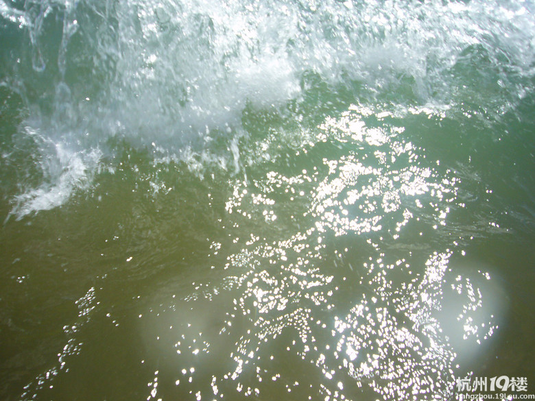 枸杞岛全攻略-碧海蓝天+冲浪美食-游记攻略-户