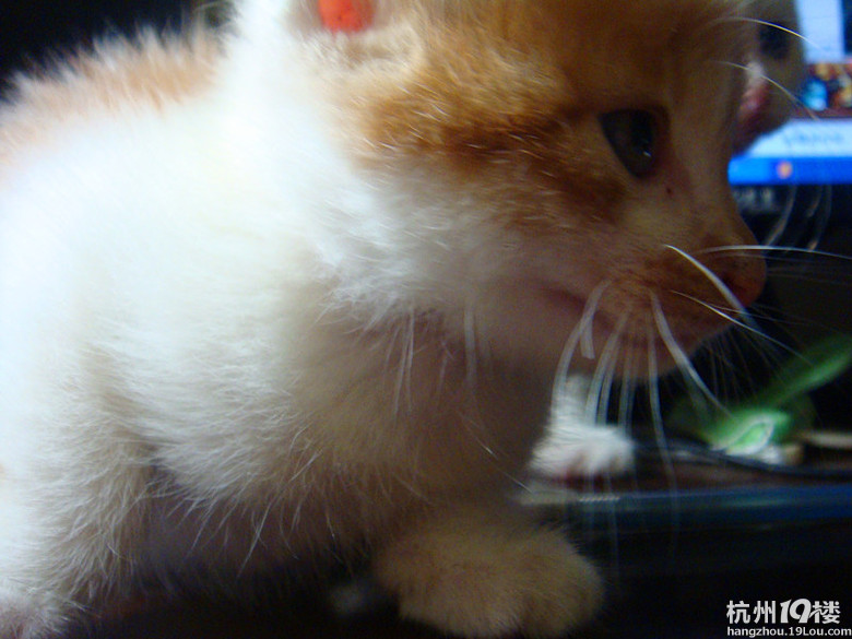 7.19С؈I(lng)B(yng) &gt; &lt;