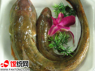 第三届东沙古渔镇泥鱼垂钓大赛-岱山-杭州19楼