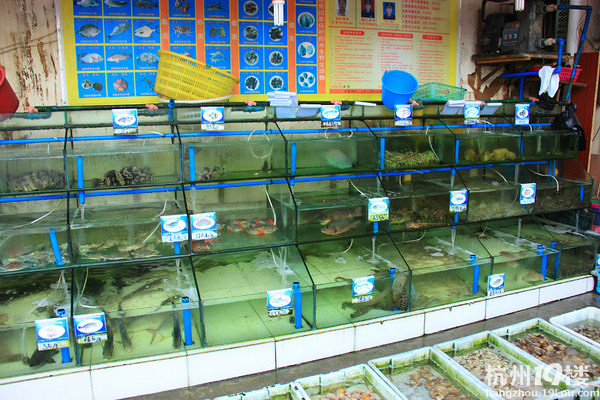 2012湖南休闲游(美食+美食+广告)-美景攻略-旅三亚游记台美女图片