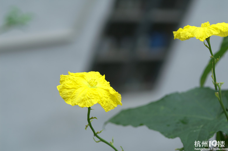 ܇ѕ(hu)--