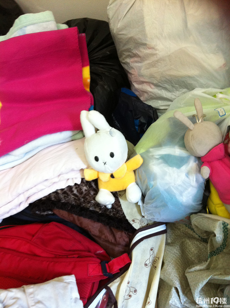 谁说民办初中生光抓成绩?杭州蓝企鹅后援团青