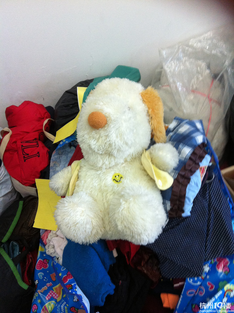 谁说民办初中生光抓成绩?杭州蓝企鹅后援团青