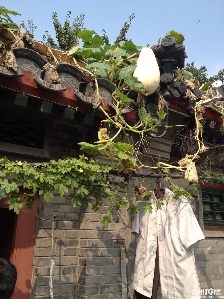 [5隊(duì)]蟄伏了很久,來(lái)個(gè)深度胡同美食集吧