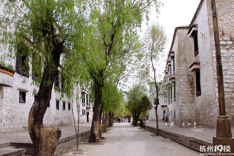 一路向西(青藏线-拉萨-纳木错-山南地区-反走搭