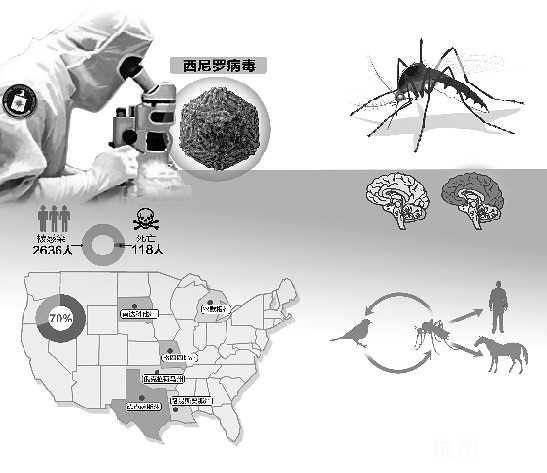 蚊子一咬千人病倒 美国西尼罗病毒致118死 专