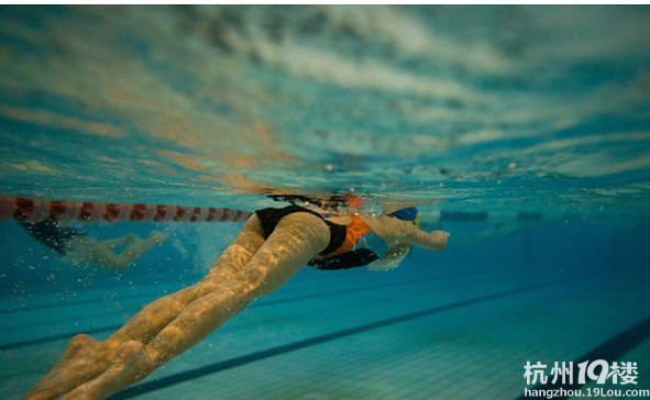 高清:奋力划动未来 游泳池里的冠军梦-职场新闻