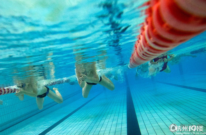奋力划动未来 游泳池里的冠军梦-明星趣闻-体育