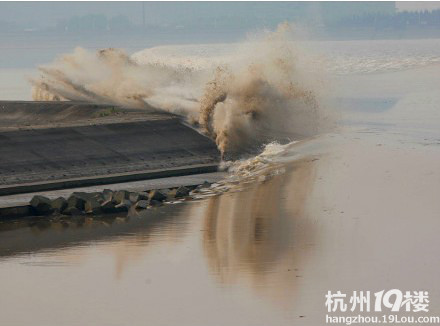 钱塘大潮汹涌拍岸 观潮者猝不及防 -杭州旅游攻略-大杭州旅游-杭州19楼