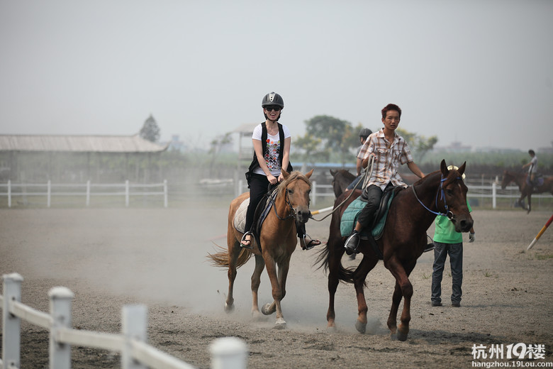 骑马运动,马友会-行行色色-户外运动-杭州19楼