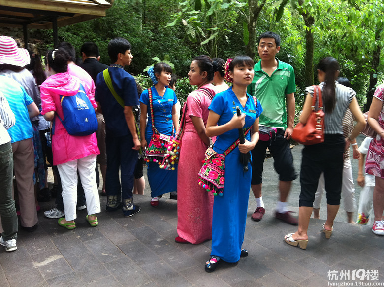 六月的十日云南游之西双版纳-旅游先遣队-杭州