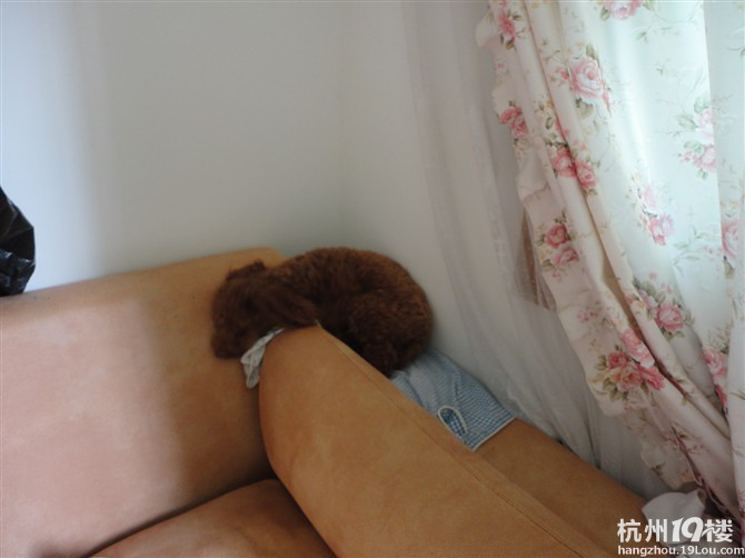 潘毛豆曬寶寶~好萌啊好萌啊