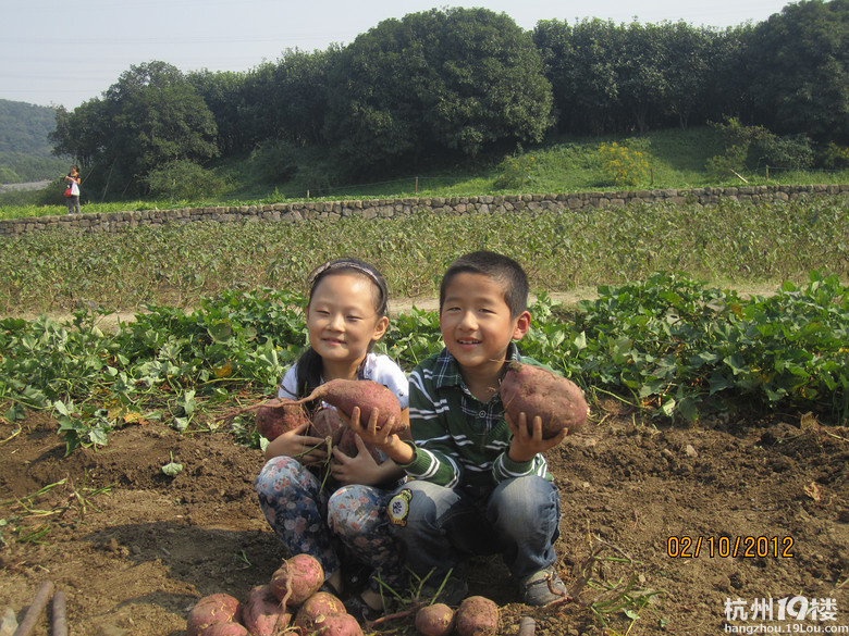 挖红薯-中学教育论坛-杭州19楼