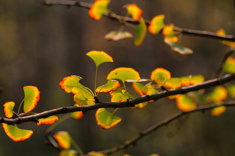 万里悲秋常作客.-19摄区-杭州19楼