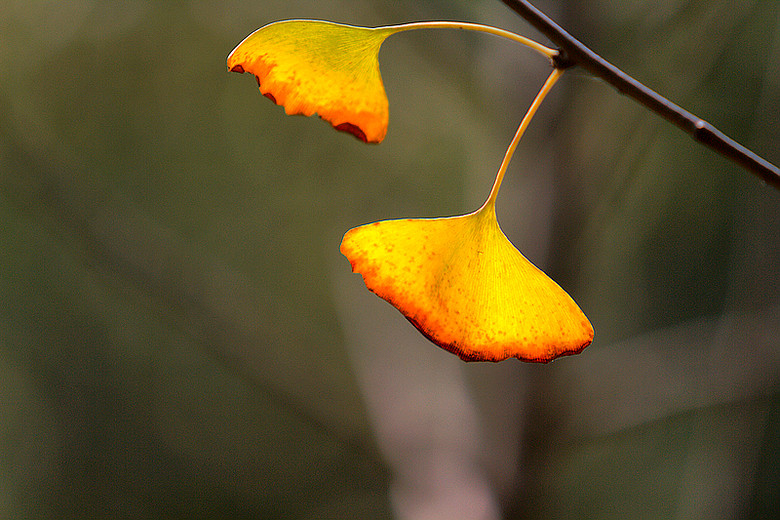万里悲秋常作客.-19摄区-杭州19楼