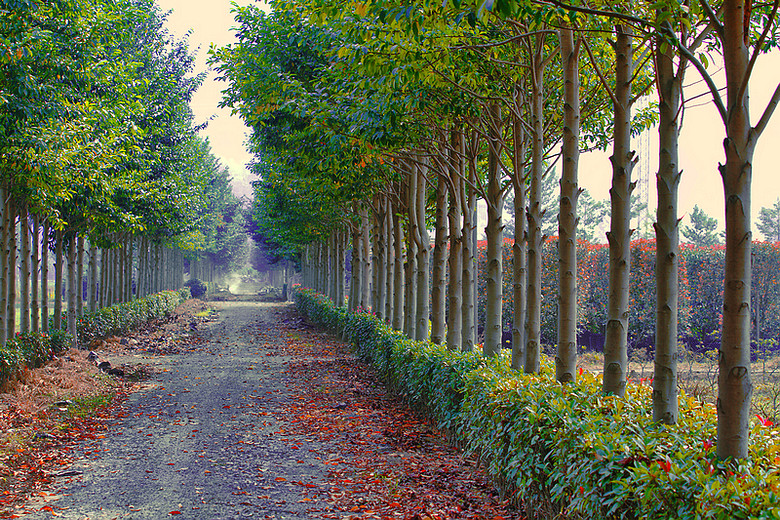 万里悲秋常作客.-风景照-19摄区-杭州19楼