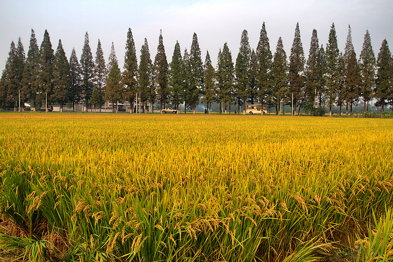 万里悲秋常作客.-风景照-19摄区-杭州19楼