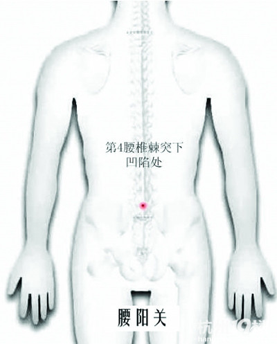 自驾归来腰部不适 热敷“腰阳关”-互助-景程车友会-杭州19楼