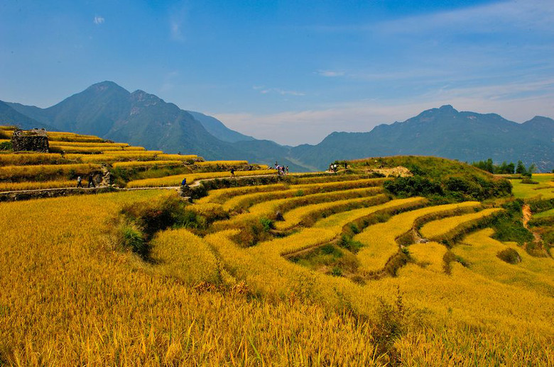 秋的云和梯田,七彩调色板-19摄区-杭州19楼