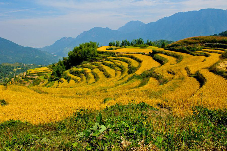 秋的云和梯田,七彩调色板-19摄区-杭州19楼