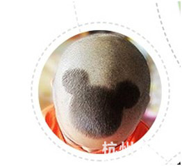 想给儿子剪个米老鼠的<em>发型</em>,要用到哪些工具啊