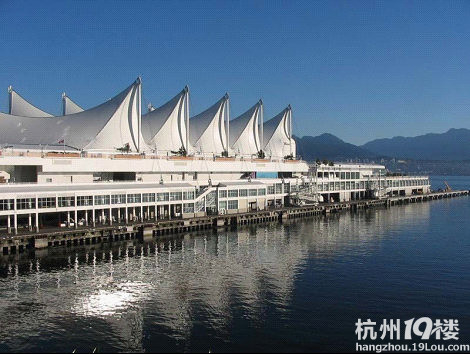 中国刮起加拿大style~~-咖啡大教室-杭州19楼