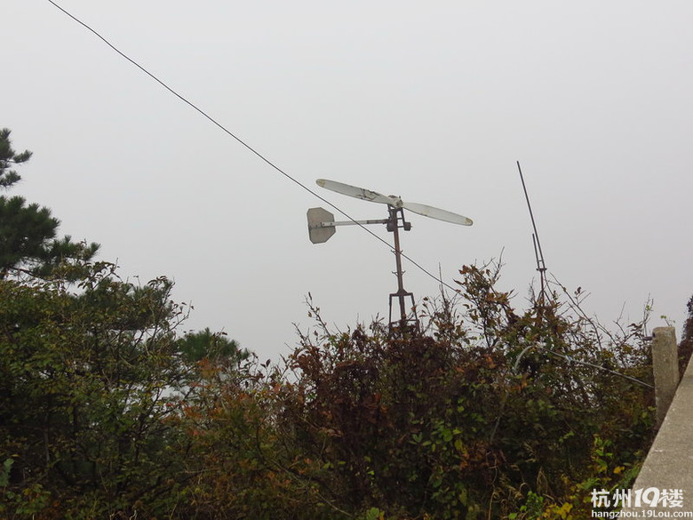 西天目山游玩攻略--天目山狂奔-亲子一日游-游