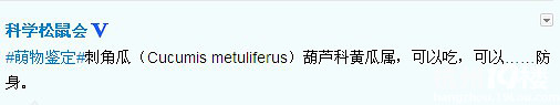 這貨居然。。。居然。。。居然是黃瓜�。。。。�！