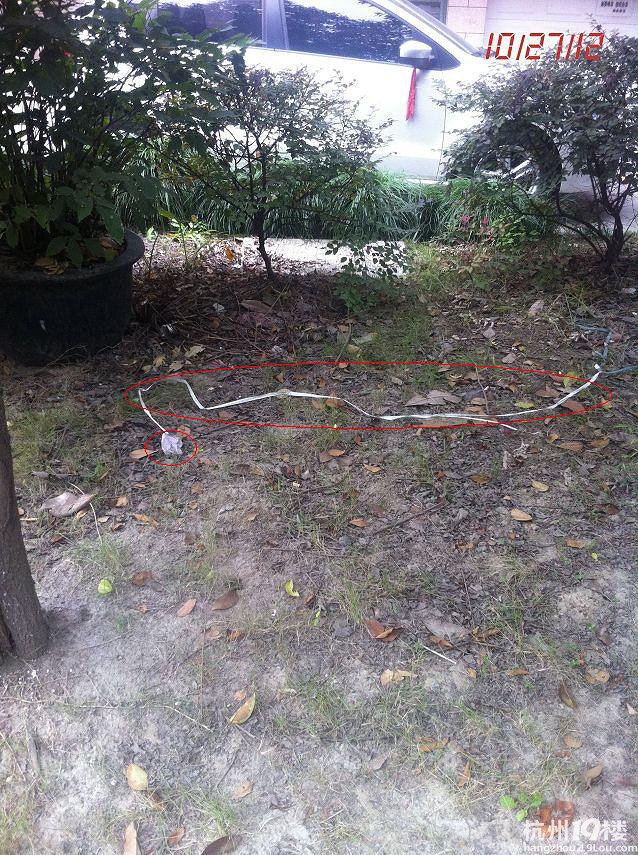 照片告诉你,小区物业的服务质量-小区物业-时代