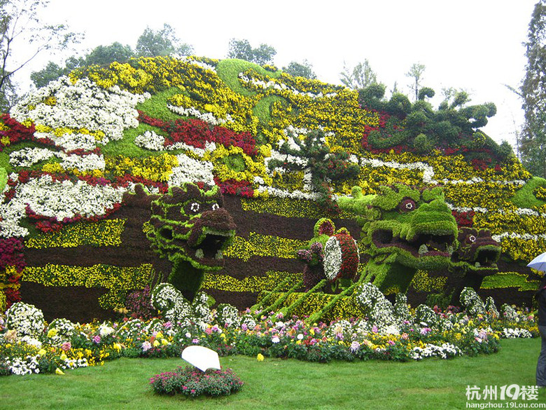 2012年菊花展什么时候开始?杭州植物园菊花展