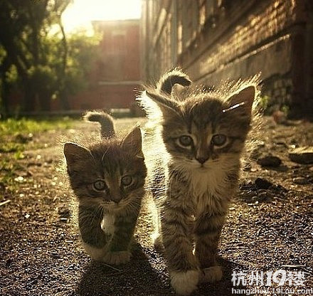 重生之超级名模【完结+完整+番外】-第3页-言