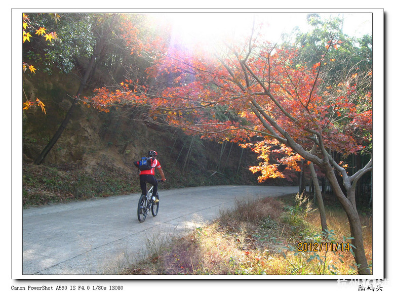 D319【莫干山的枫叶红了】-骑行游记-单车生