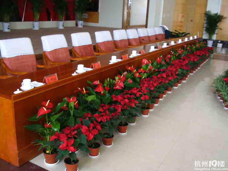 州大家美植物出租 植物 租摆 会议布置-<em>耽美</em>/同