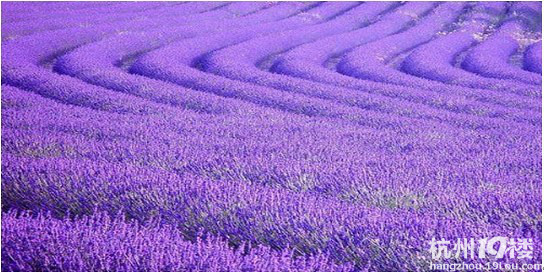 情谷婚纱摄影基地--打造中国最大的婚纱摄影基