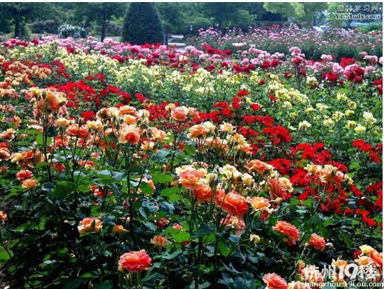 情谷婚纱摄影基地--打造中国最大的婚纱摄影基