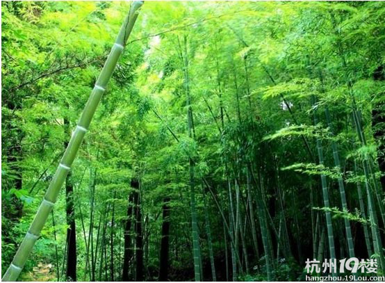 情谷婚纱摄影基地--打造中国最大的婚纱摄影基