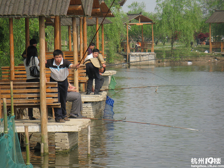 想组织一次同学会,去哪里好呢?-其他-大杭州旅