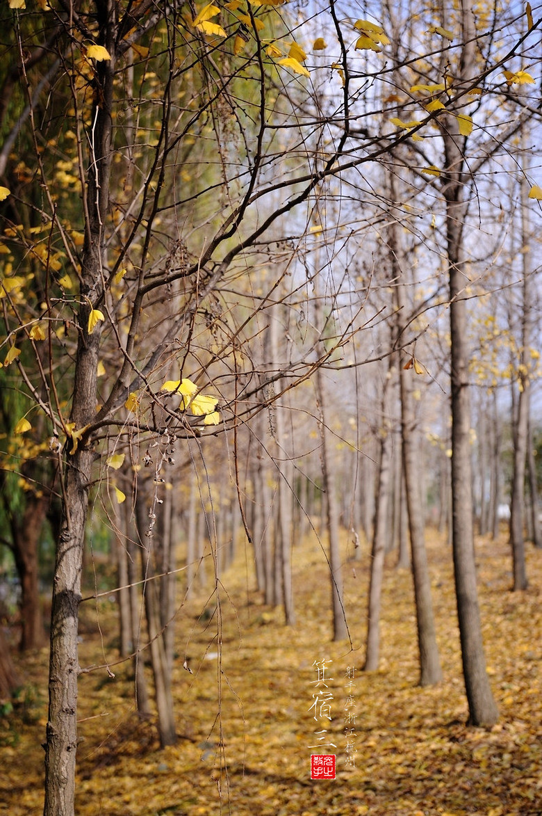 【盘点2012】末日冲动~一个杀手的自白二