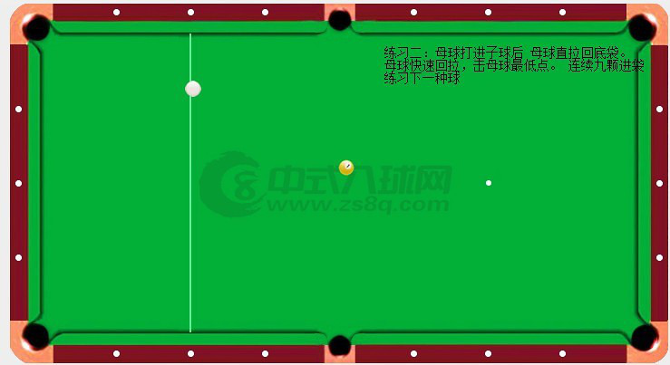 看见一美国专业台球教学练球的视频和练习方法