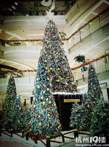 欢乐的圣诞节近在眼前啦,爱打扮的姐妹们都准