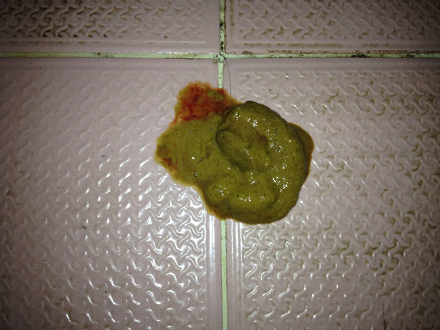 小金毛便中带血。什么情况?-健康求助-家有宠