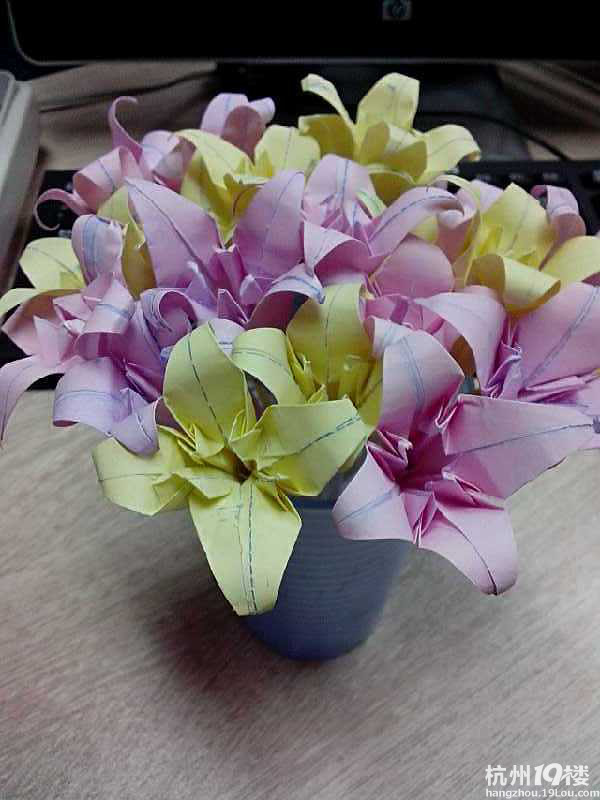 折纸-其他-19楼私房菜-杭州19楼