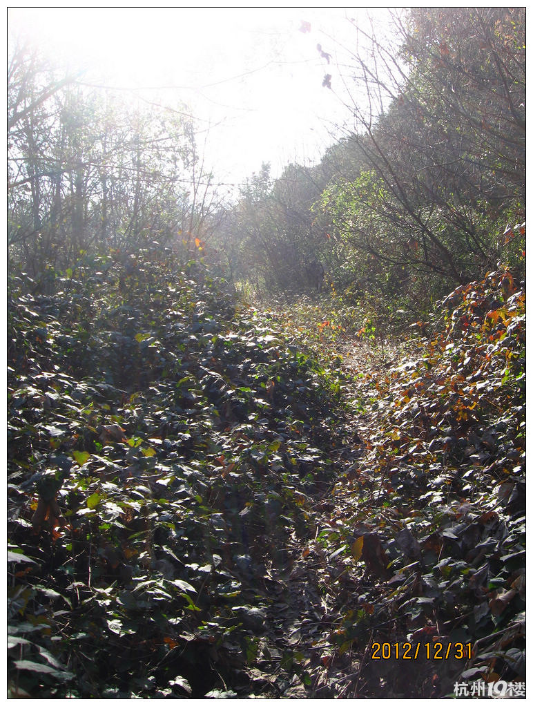 D366 【2012 虎山收官】-骑行游记-单车生活-