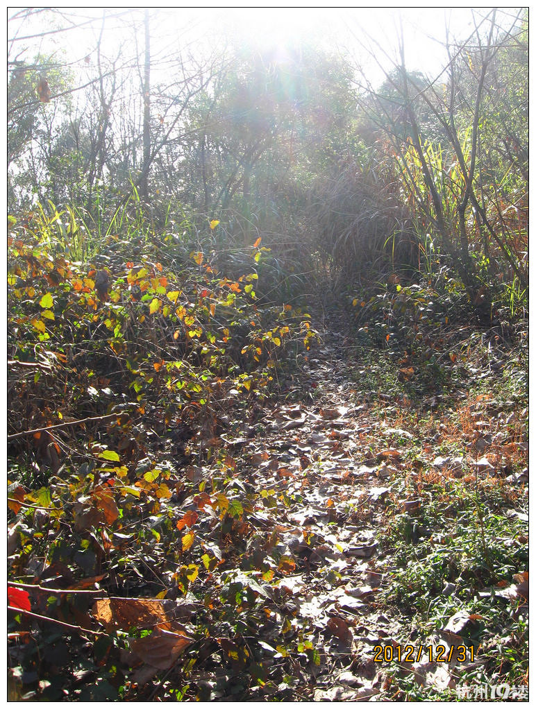 D366 【2012 虎山收官】