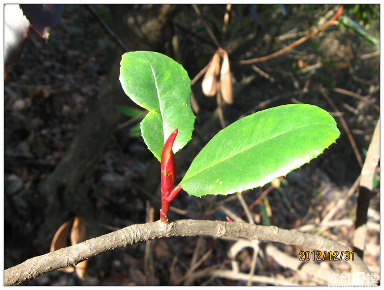 D366 【2012 虎山收官】-骑行游记-单车生活-